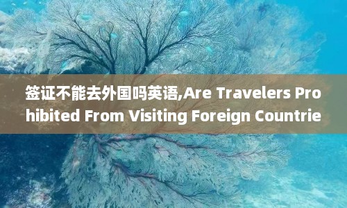 签证不能去外国吗英语,Are Travelers Prohibited From Visiting Foreign Countries Due to Visa Restrictions