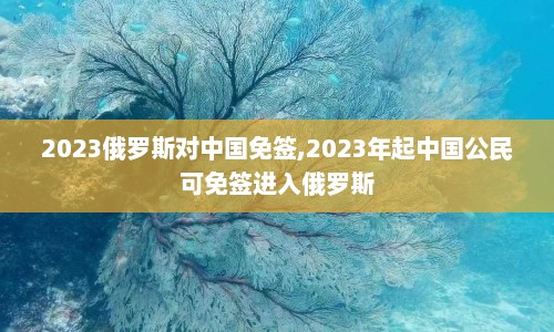 2023俄罗斯对中国免签,2023年起中国公民可免签进入俄罗斯