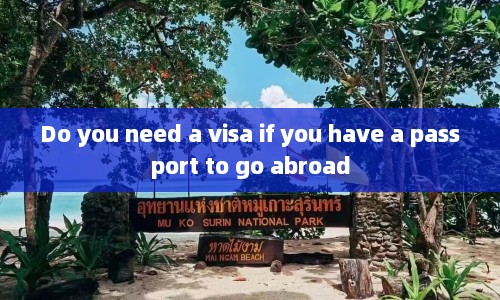 Do you need a visa if you have a passport to go abroad