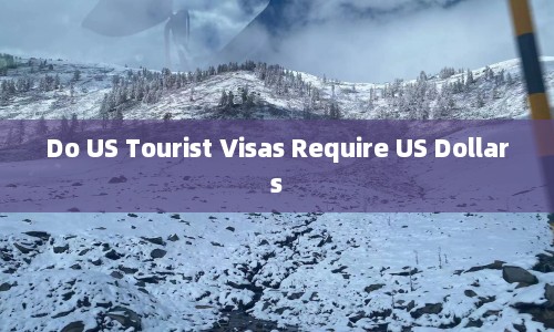 Do US Tourist Visas Require US Dollars