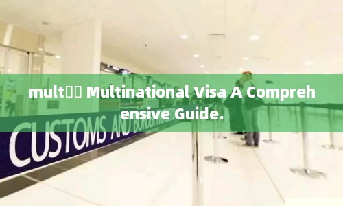 multǩ֤ Multinational Visa A Comprehensive Guide.  第1张