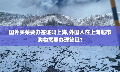 国外买菜要办签证吗上海,外国人在上海超市购物需要办理签证？