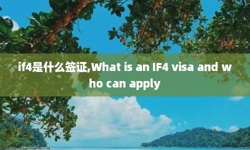 if4是什么签证,What is an IF4 visa and who can apply
