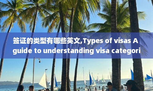 签证的类型有哪些英文,Types of visas A guide to understanding visa categories