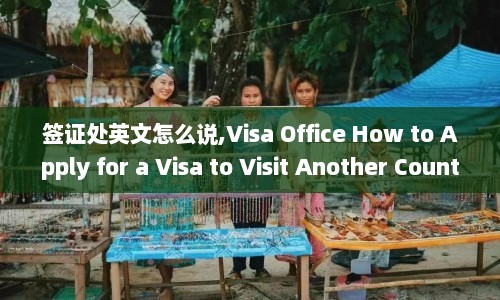 签证处英文怎么说,Visa Office How to Apply for a Visa Visit Another Country  第1张