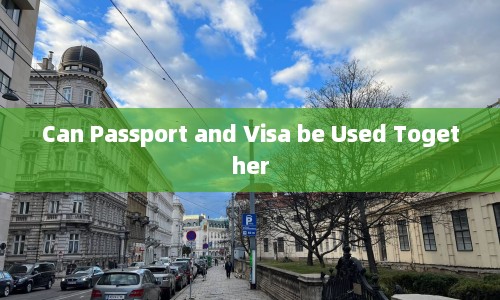 Can Passport and Visa be Used Together  第1张