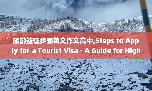 旅游签证步骤英文作文高中,Steps to Apply for a Tourist Visa - A Guide High School Students.  第1张