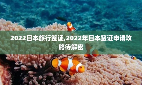 2022日本旅行签证,2022年日本签证申请攻略待解密  第1张