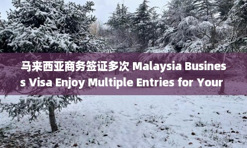 马来西亚商务签证多次 Malaysia Business Visa Enjoy Multiple Entries for Your Needs  第1张
