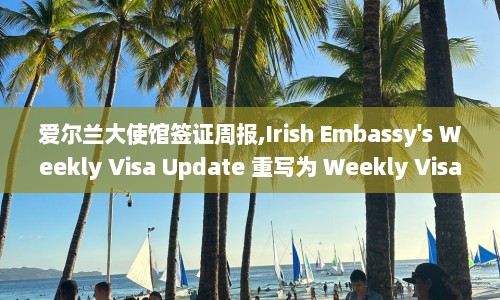 爱尔兰大使馆签证周报,Irish Embassy's Weekly Visa Update 重写为 from Irish Embassy  第1张