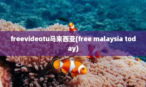 freevideotu马来西亚(free malaysia today)