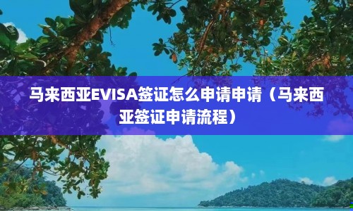 马来西亚EVISA签证怎么申请申请（马来西亚签证申请流程）