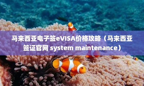 马来西亚电子签eVISA价格攻略（马来西亚签证官网 system maintenance）