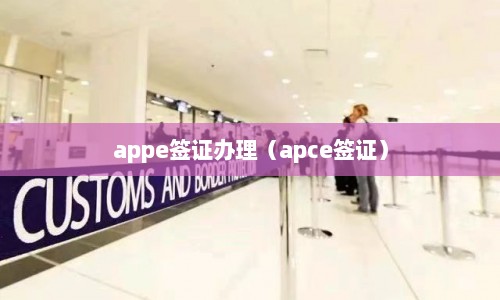 appe签证办理（apce签证）