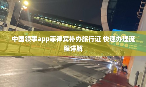 中国领事app菲律宾补办旅行证 快速办理流程详解