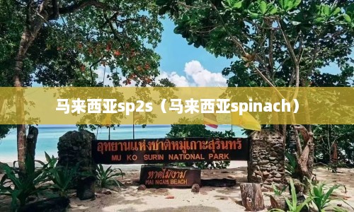 马来西亚sp2s（马来西亚spinach）