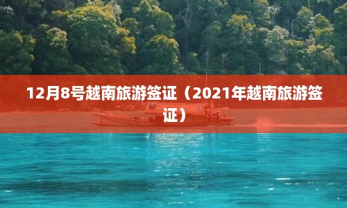 12月8号越南旅游签证（2021年越南旅游签证）  第1张