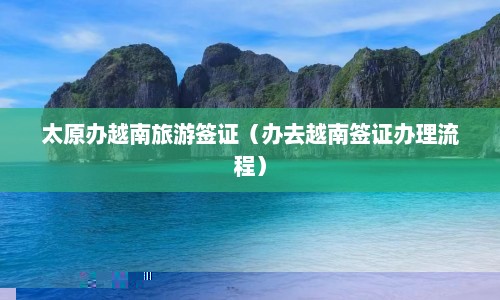 太原办越南旅游签证（办去越南签证办理流程）  第1张