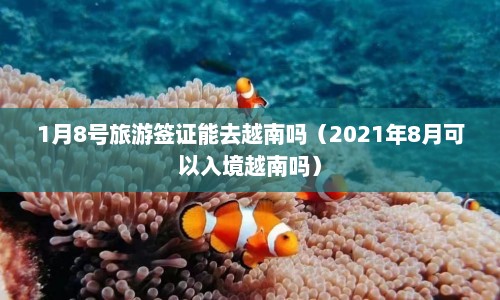 1月8号旅游签证能去越南吗（2021年8月可以入境越南吗）