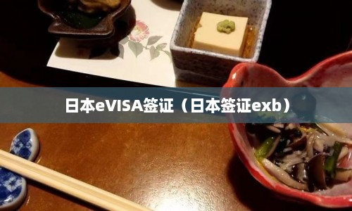 日本eVISA签证（日本签证exb）
