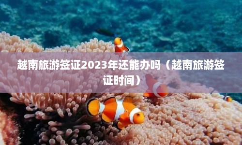 越南旅游签证2023年还能办吗（越南旅游签证时间）  第1张