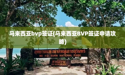 马来西亚bvp签证(马来西亚BVP签证申请攻略)