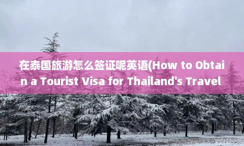 在泰国旅游怎么签证呢英语(How to Obtain a Tourist Visa for Thailand's Travel A Guide)